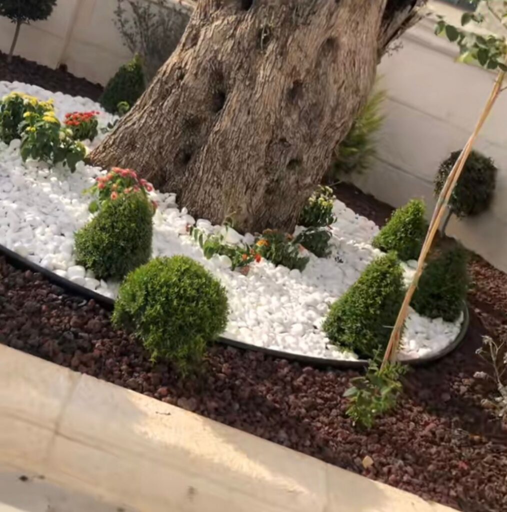 تنسيق حدائق زينة