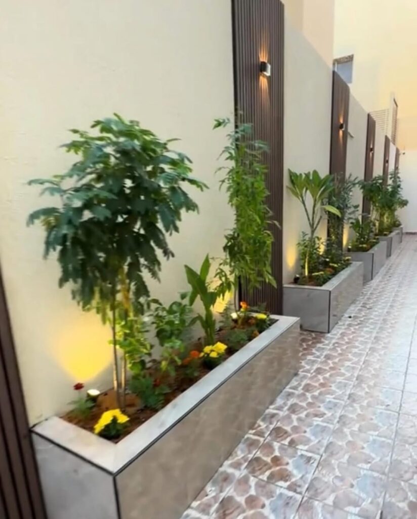 تنسيق حدائق في الحوش