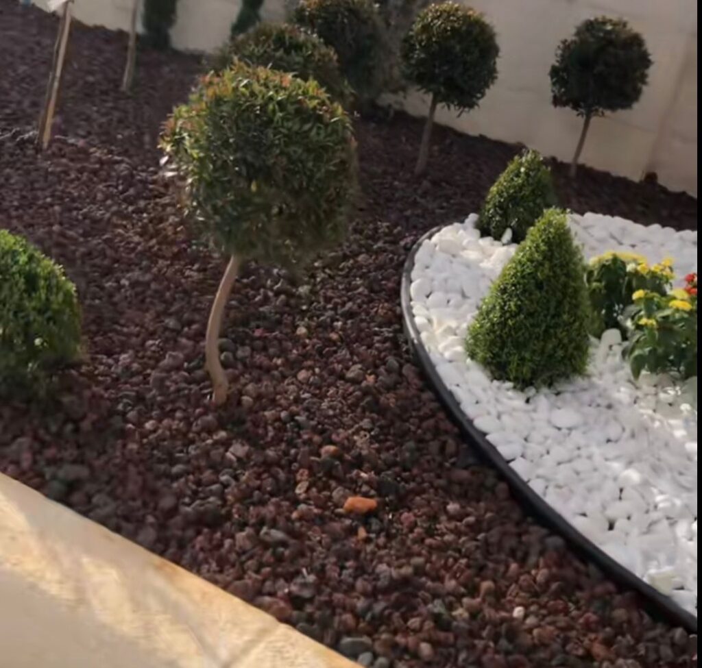 تنسيق حدائق زينة